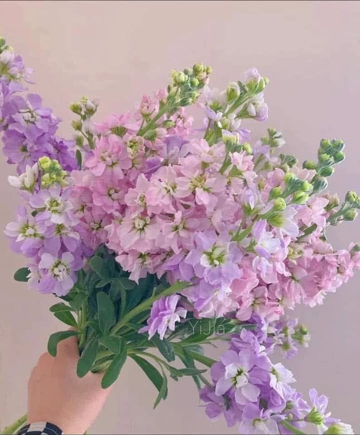 Đất nền Barimex Hòa Long 299m² 3,xx tỷ - Sổ đỏ chính chủ