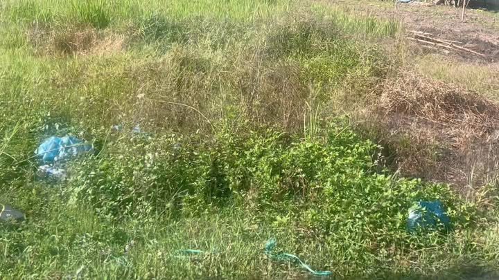 Đất nền Gia Ray 250m² giá 1 tỷ - Hạ tầng hoàn thiện