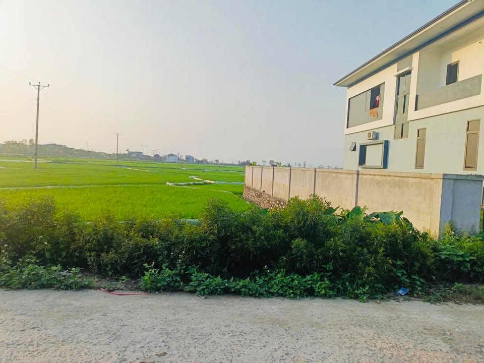 Đất nền Quốc lộ 1A Cẩm Quan 180m² - Đường to ô tô