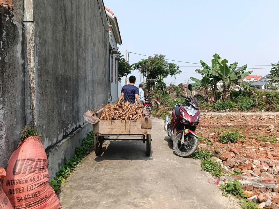 Đất nền Xã Cao Đức Bắc Ninh 81m² 1,3 tỷ - Tiềm năng tăng giá