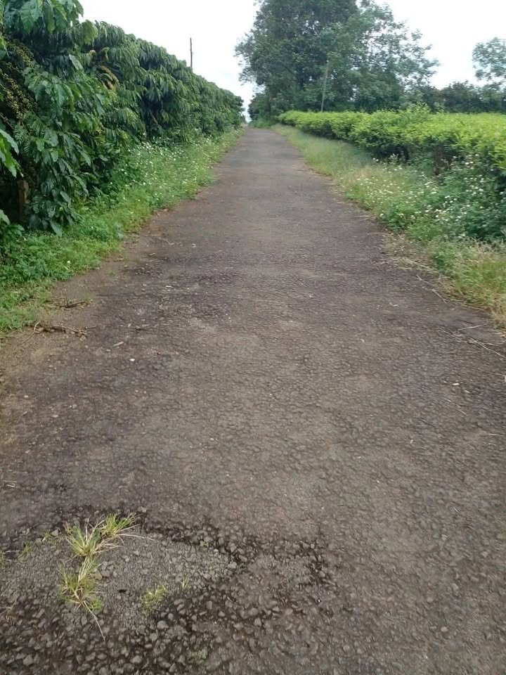 Đất nền Lộc Thắng Bảo Lộc 870m² 60.9 tỷ - Hạ tầng hoàn thiện