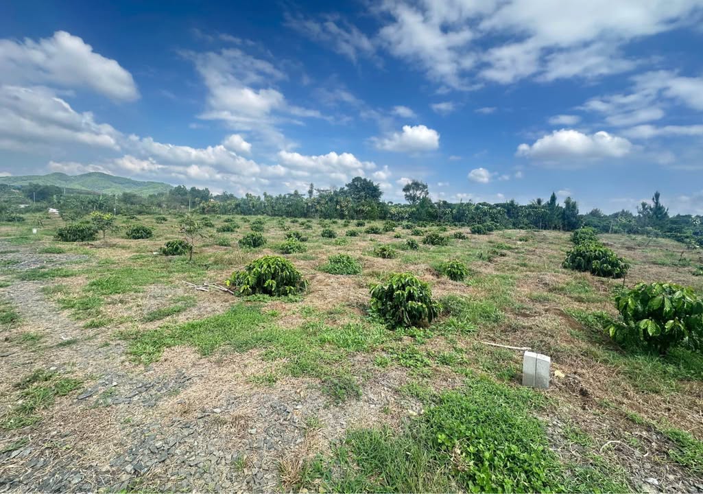 Đất Phan Chu Trinh Bình Thạnh 360m² 980tr - Ô tô vào tận nơi