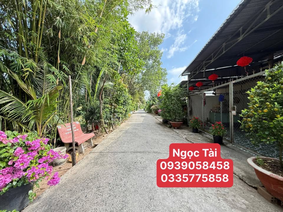 Đất nền Sa Đéc 218m² 1 tỷ - Sổ đỏ chính chủ an cư