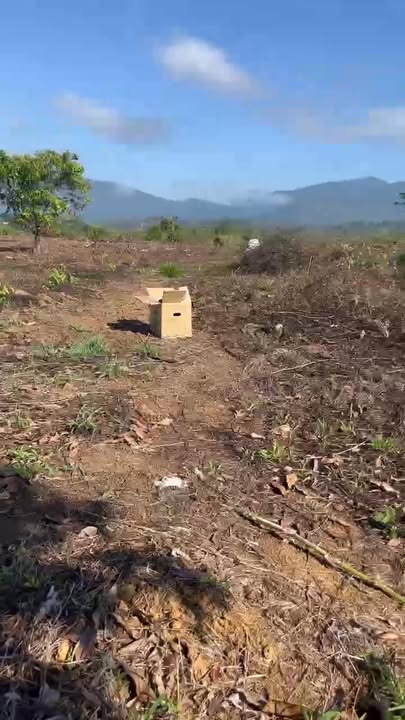 Đất vườn Thôn 10 Tân Hà 30000m² 16,67 tỷ - Đầu tư dài hạn