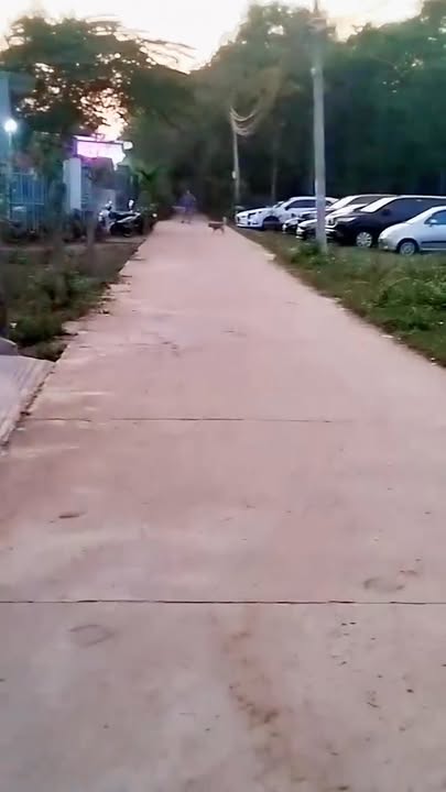 Đất nền Xuân Lộc 196m² 399 triệu - Hạ tầng hoàn thiện