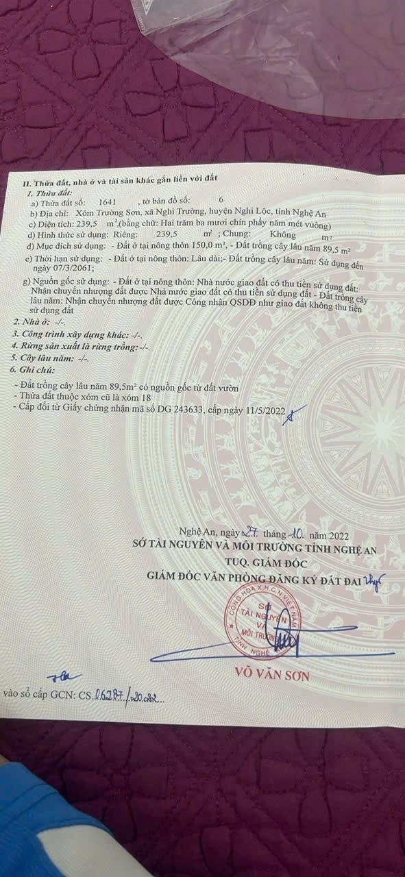 Đất nền Nghi Trung Nghi Lộc 239m² 2 tỷ - Sổ đỏ chính chủ