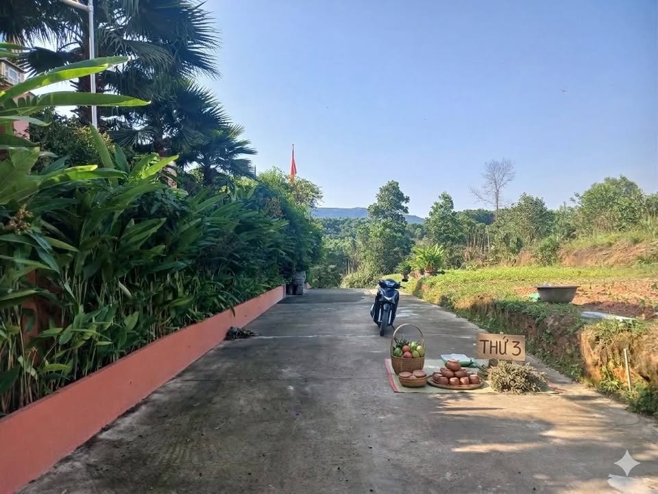 Đất Cư Yên Lương Sơn 680m² giá thỏa thuận - Đất thổ cư 100%