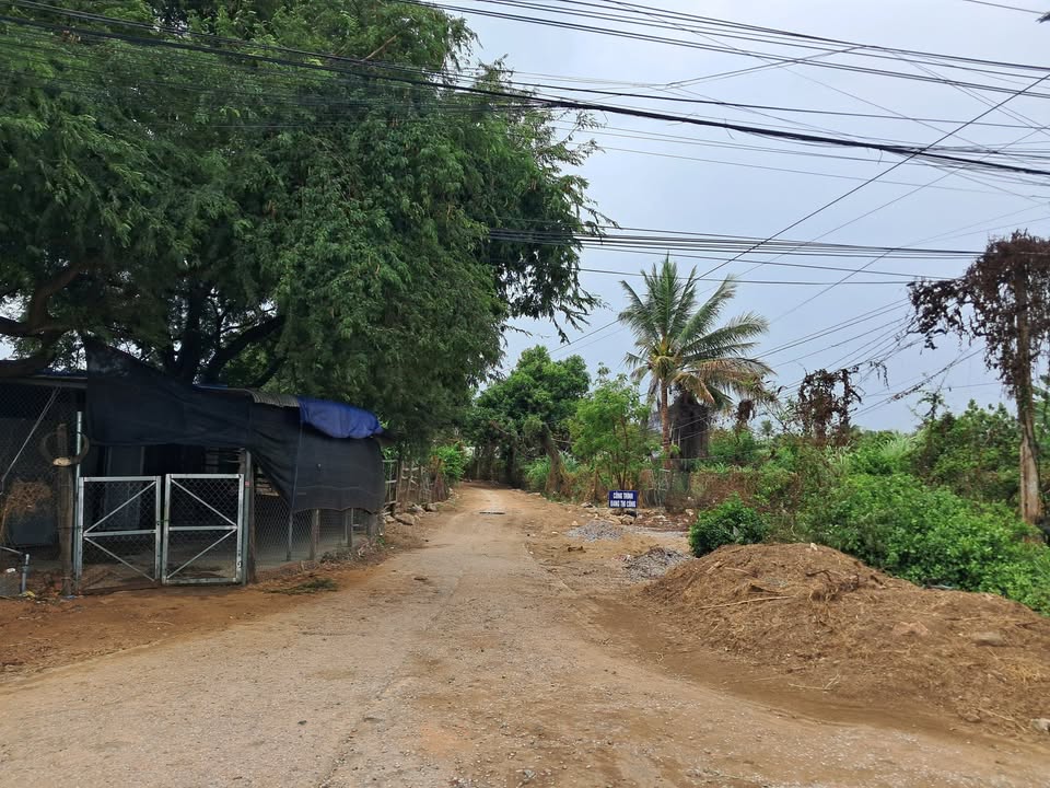 Đất nền Ninh Quý 1 Ninh Hải 1143m² 850 triệu - Đầu tư tiềm năng