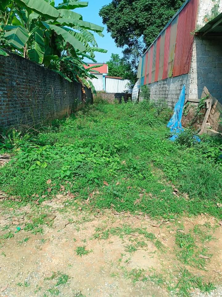 Đất nền Thủy Xuân Tiên 125m² 1 tỷ - Sổ đỏ chính chủ, ô tô vào tận nơi