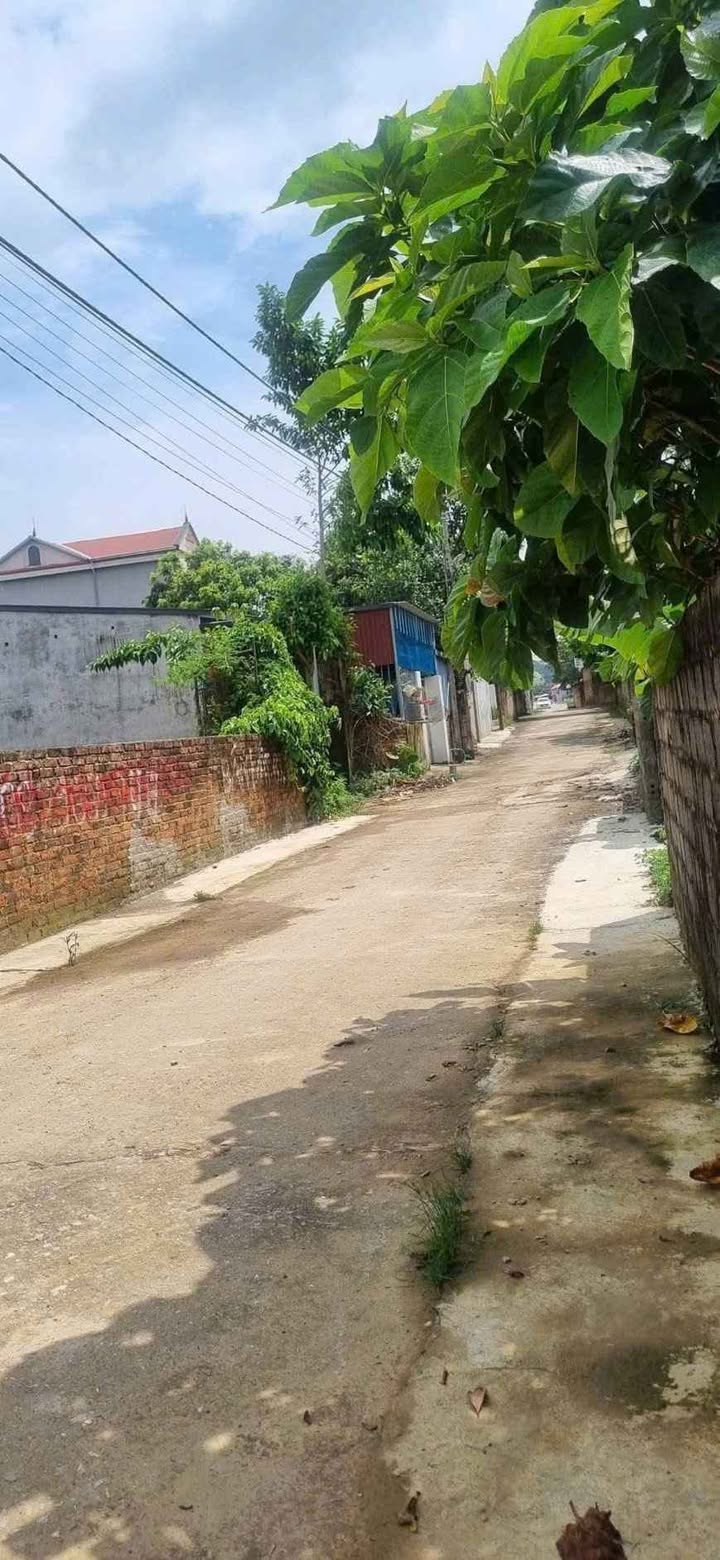 Đất nền Hòa Sơn Lương Sơn 110m² 1 tỷ - Sổ đỏ chính chủ