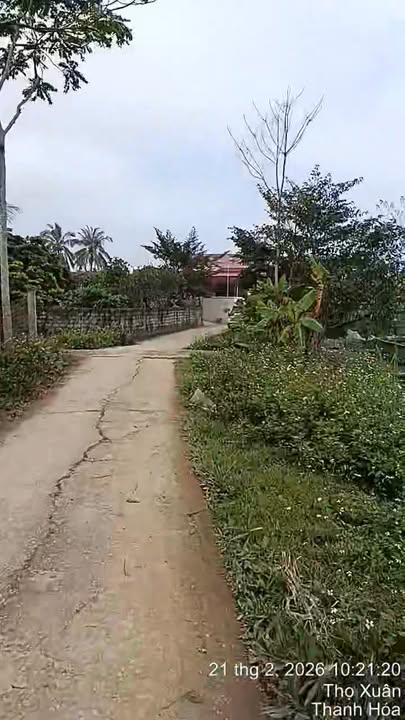 Đất nền Thọ Xuân 300m² giá 1,35 tỷ - Sổ đỏ chính chủ