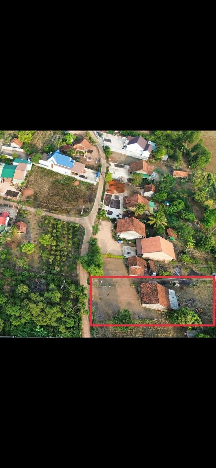 Đất nền Ea Ktur Đắk Lắk 1.200m² 78 tỷ - Sổ đỏ chính chủ