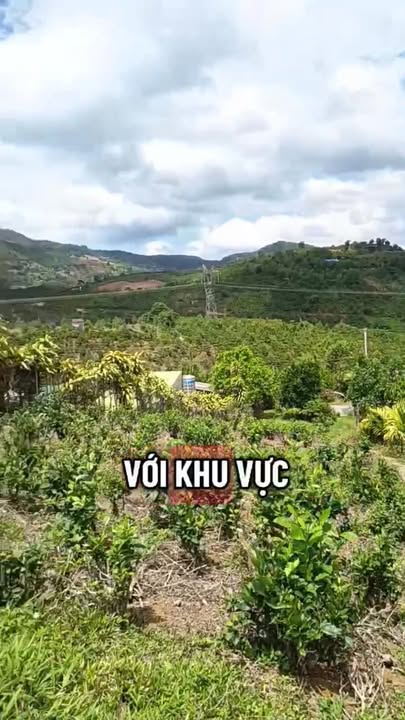 Đất nền Lộc Châu Ỷ Lan 4418m² 5.5 tỷ - View đẹp