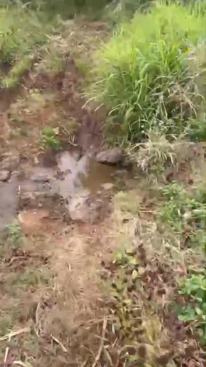 Đất Đắk Sắk Đắk Mil 10.000m² 450 triệu - Sổ đỏ chính chủ