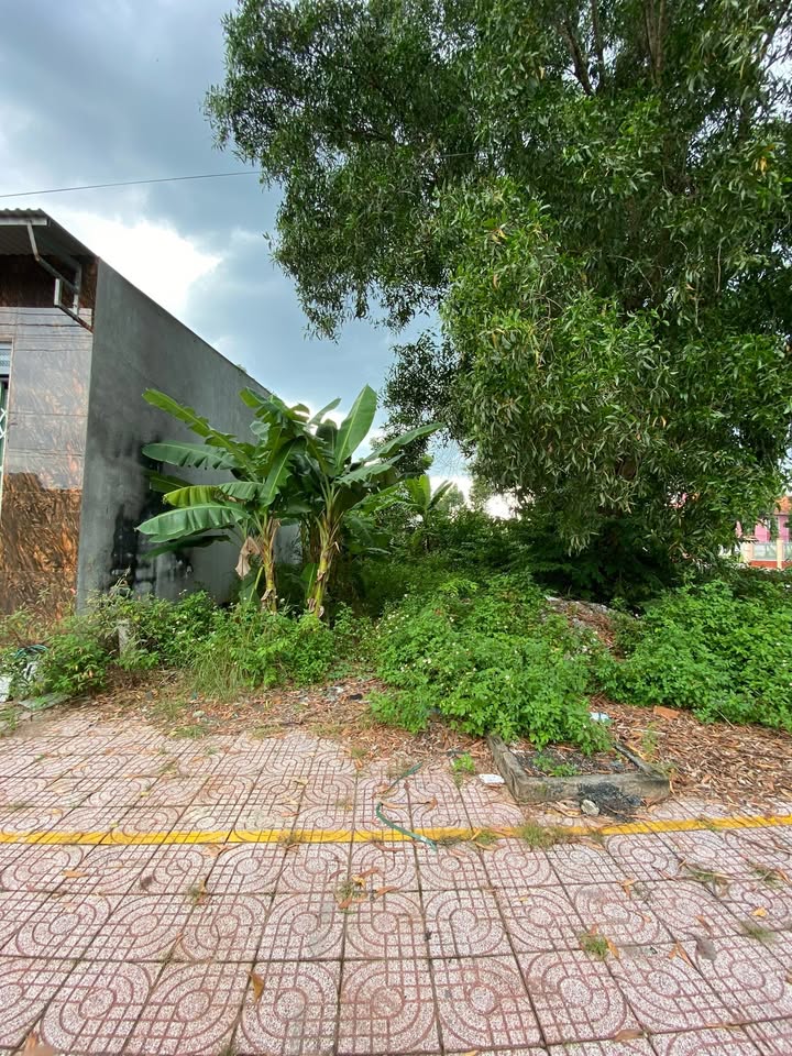 Đất TDC Tân Thiện Đồng Xoài 125m² 1.5 tỷ - Thổ cư 100%