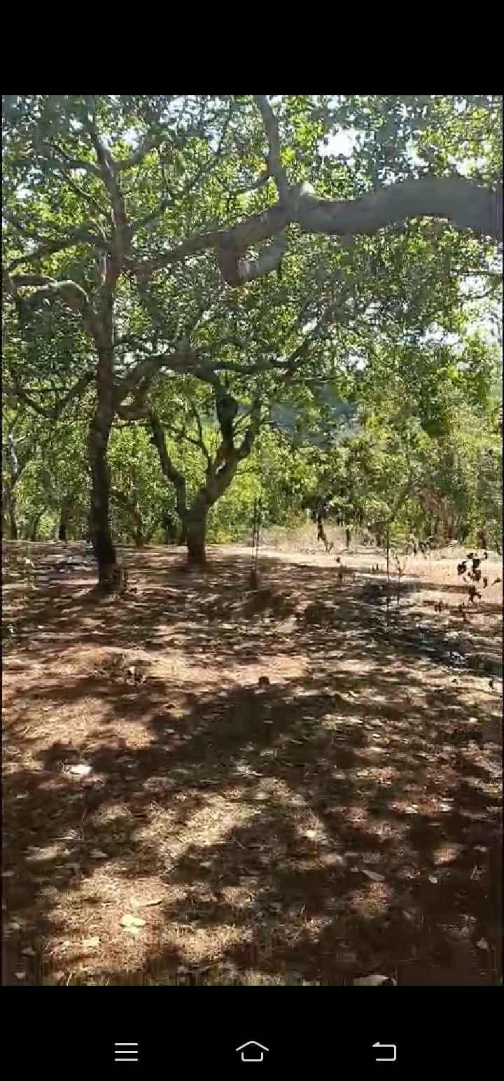 Đất nền Tân Hưng Đồng Phú 1.1ha 1.2 tỷ - Xây dựng tự do