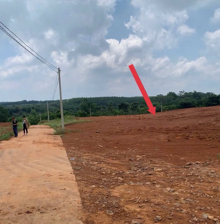 Đất nền Tân Hưng 1500m² giá 300 triệu - Sổ đỏ chính chủ