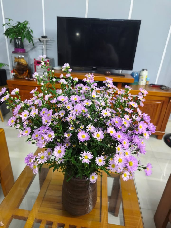 Nhà nguyên căn Hải Châu 5 tầng 60 triệu - Cho thuê ngay