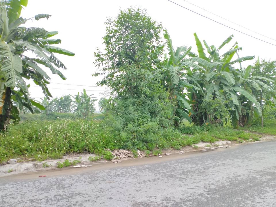 Đất Đông Hòa Thanh Hóa 99m² 8xx triệu - Hạ tầng hoàn thiện