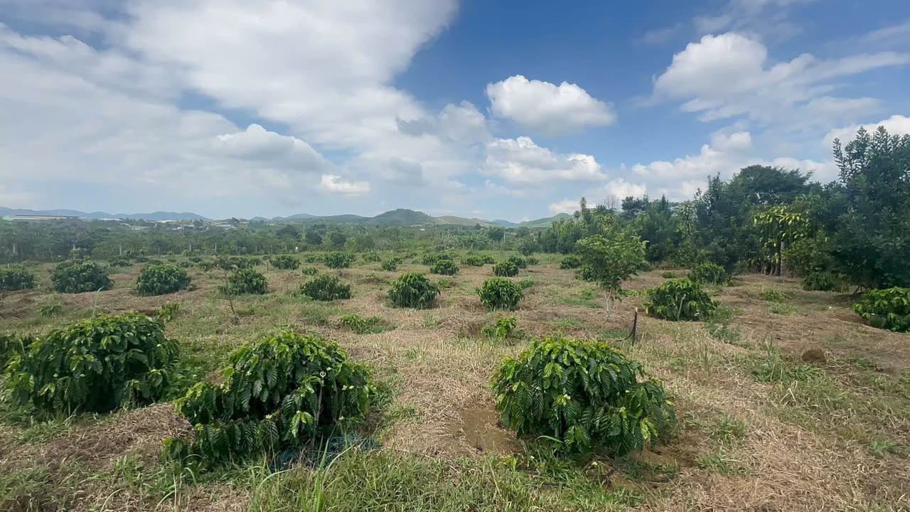 Đất nông nghiệp Phan Chu Trinh 360m² 980 triệu - Sổ đỏ chính chủ