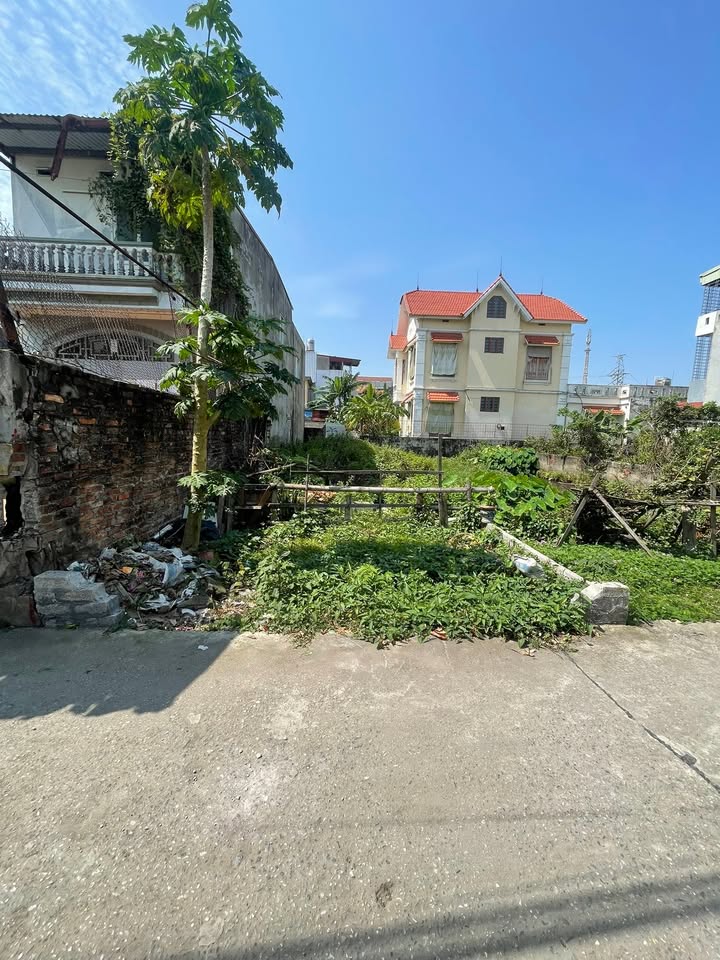 Đất nền Nguyễn Lương Bằng 96m² Kiến An - Đường to ô tô