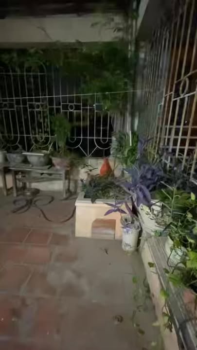 Nhà nguyên căn Cầu Giấy 150m² giá 10 triệu - Sẵn sàng ở ngay