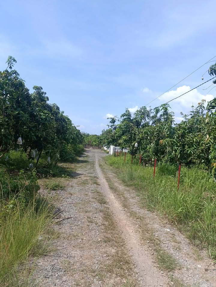 Đất nền La Ngà Định Quán 1000m² 650 triệu - Sổ đỏ sẵn