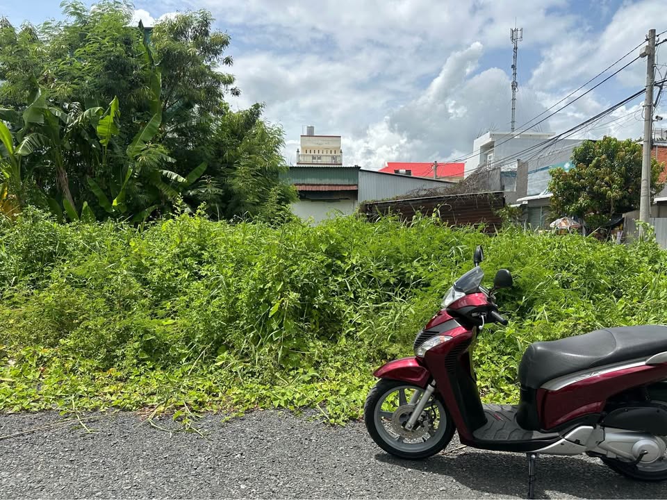 Đất nền Mỹ Hòa Long Xuyên 75m² giá 2 tỷ - Xây dựng tự do