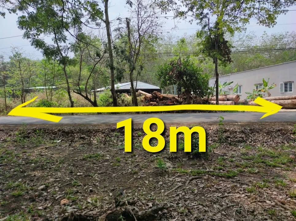 Đất Long Hòa Cần Giờ 504m² 300-399tr - Đường ô tô