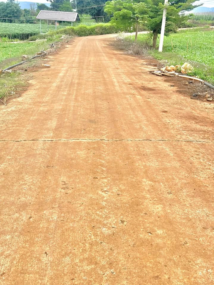 Đất nền Liên Nghĩa 110m² 980 triệu - Tiềm năng tăng giá