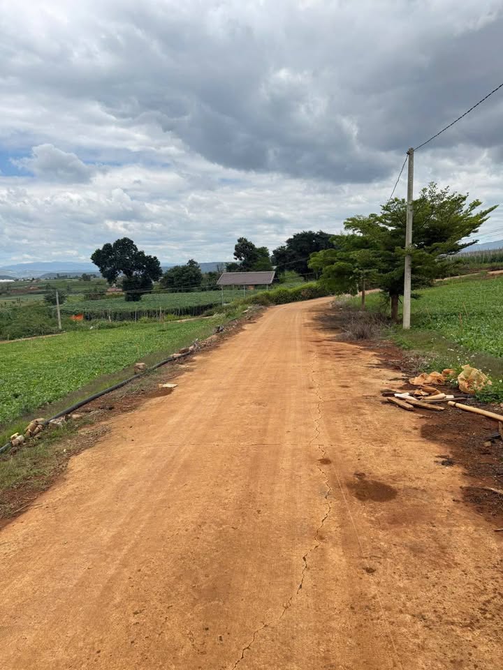 Đất Phú Hội Đức Trọng 113m² giá 0.9 tỷ - Sổ đỏ rõ