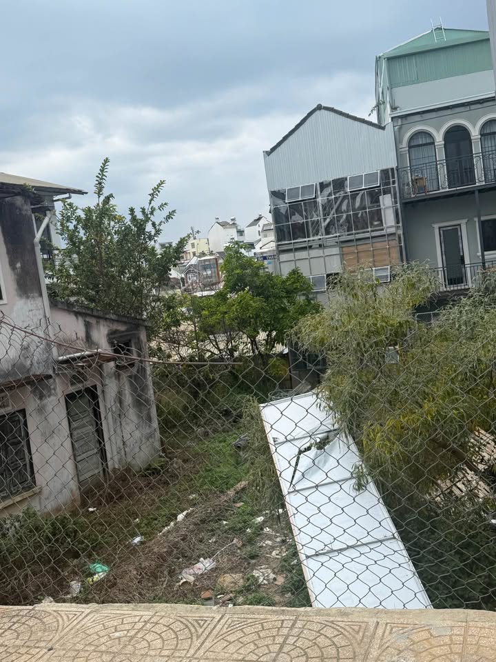 Đất nền Đà Lạt Thông Thiên Học 110m² 15 tỷ - Sổ hồng riêng