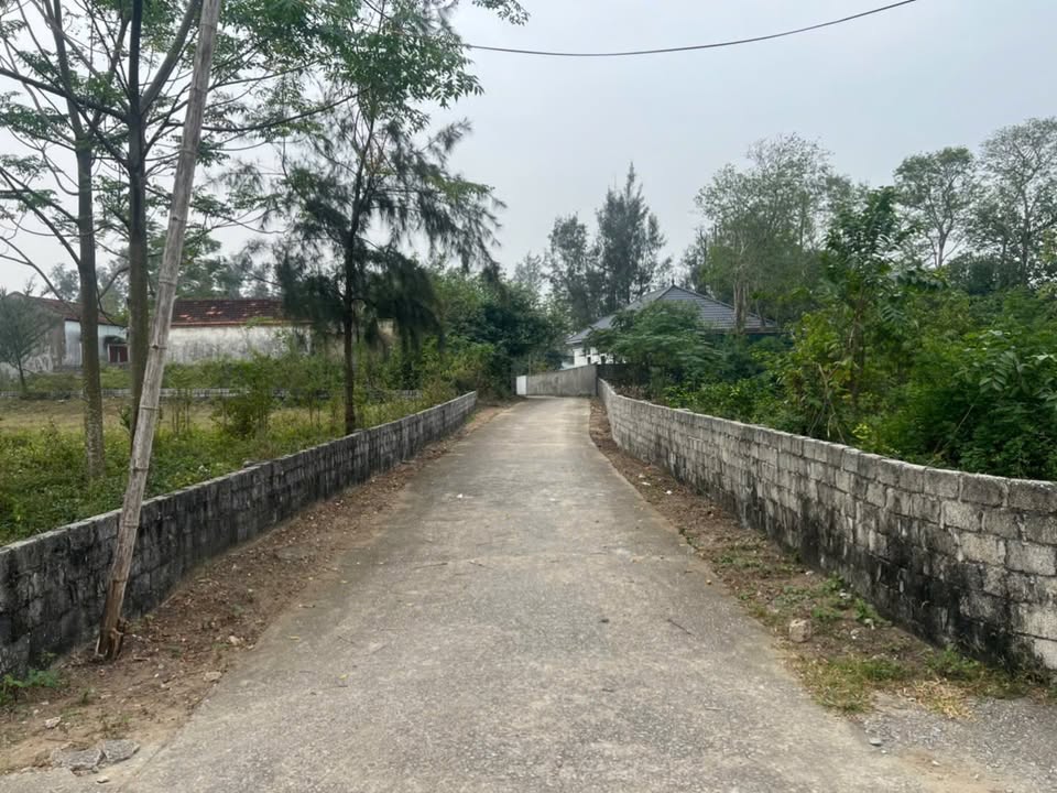 Đất biển Quảng Thái 392m² thỏa thuận - Đường ô tô
