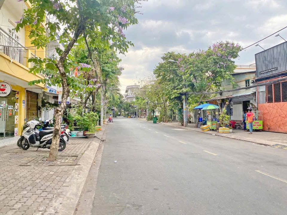 Đất nền KDC Tân Quy Đông Quận 7 228m² 35.8 tỷ - Sổ đỏ chính chủ