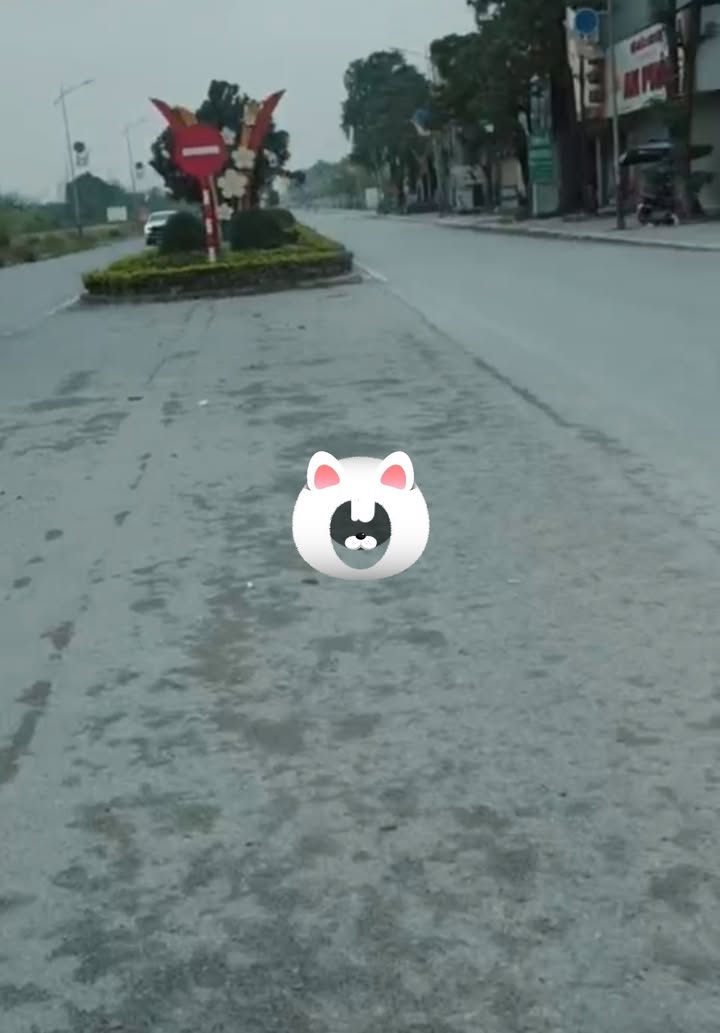 Đất nền 385 Văn Lâm 109m² - Sổ đỏ chính chủ