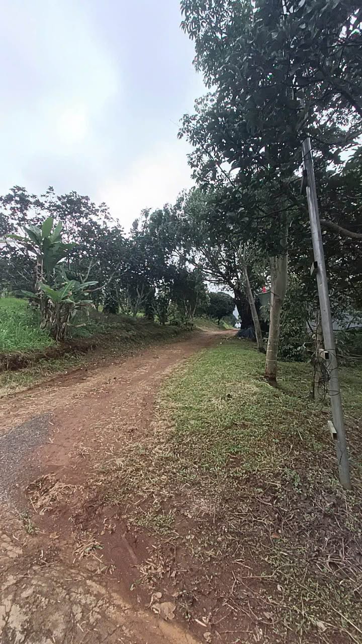 Đất nền Lê Thánh Tông 2.160m² 3.1 tỷ - Xây dựng tự do