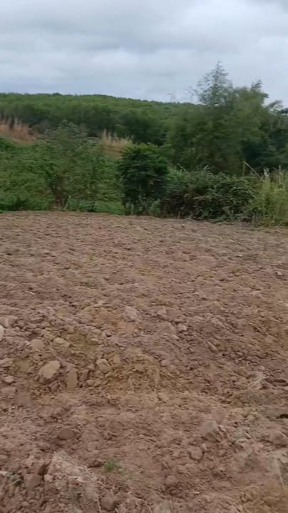 Đất nông nghiệp Cửu An An Khê 1.440m² 100-199 triệu - Đường ô tô