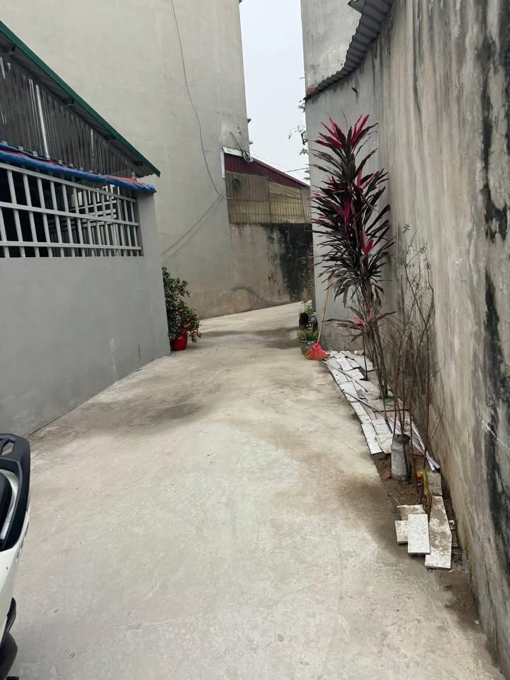 Đất nền Phúc Yên Trần Phú 75,9m² giá 1 tỷ - Giá F0 hiếm có