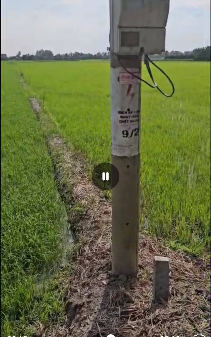 Đất Mỹ Hòa Tháp Mười 8 công 1,88 tỷ - Đường to ô tô