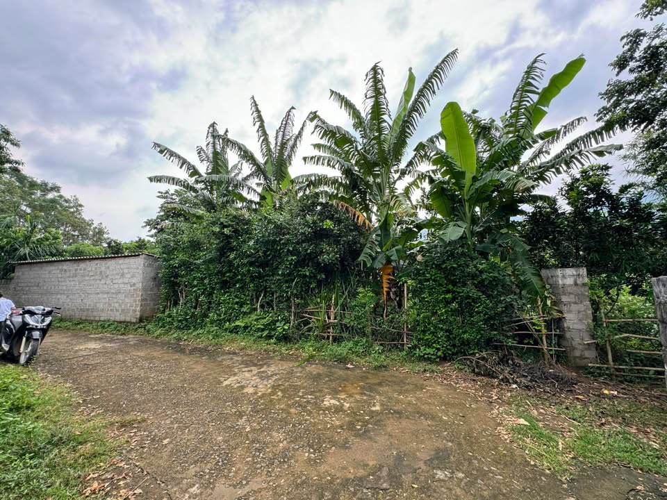 Đất nền Vĩnh Tiến 417m² 800-899 triệu - Pháp lý rõ ràng