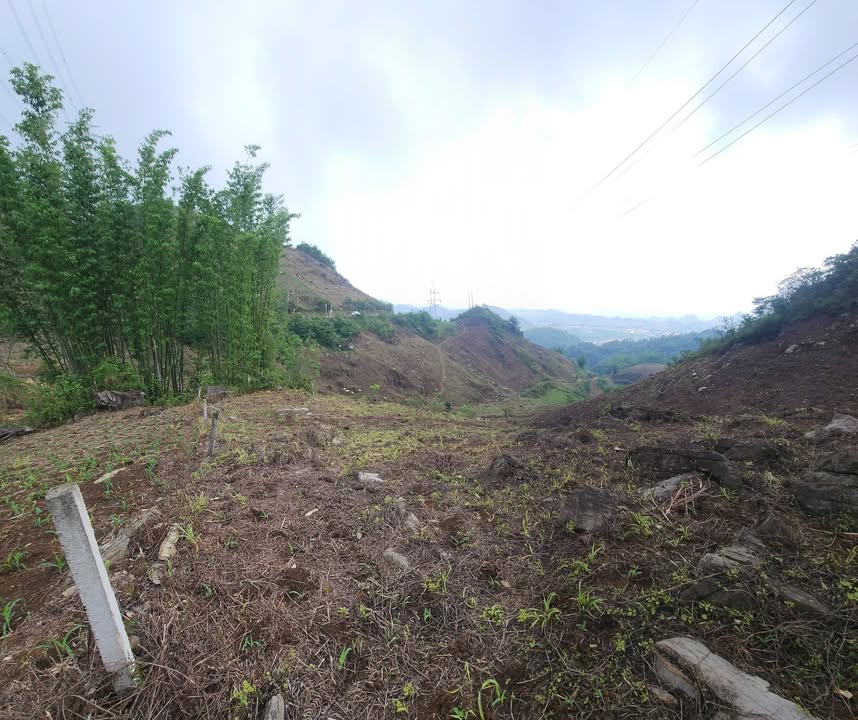 Đất TL101 Mộc Châu 3ha 999 triệu - Sổ đỏ chính chủ