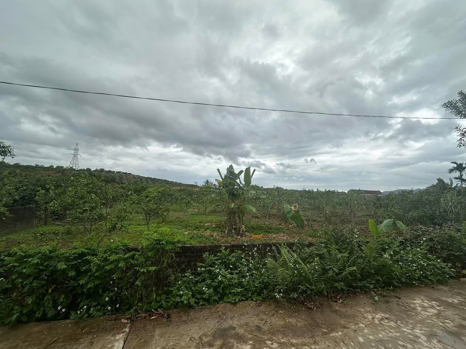 Đất vườn Lục Ngạn 2107m² giá 1.4 tỷ - Nghỉ dưỡng lý tưởng