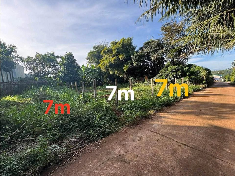 Đất 26A Tân An Buôn Ma Thuột 196m² giá 1.4 tỷ - Sổ đỏ chính chủ