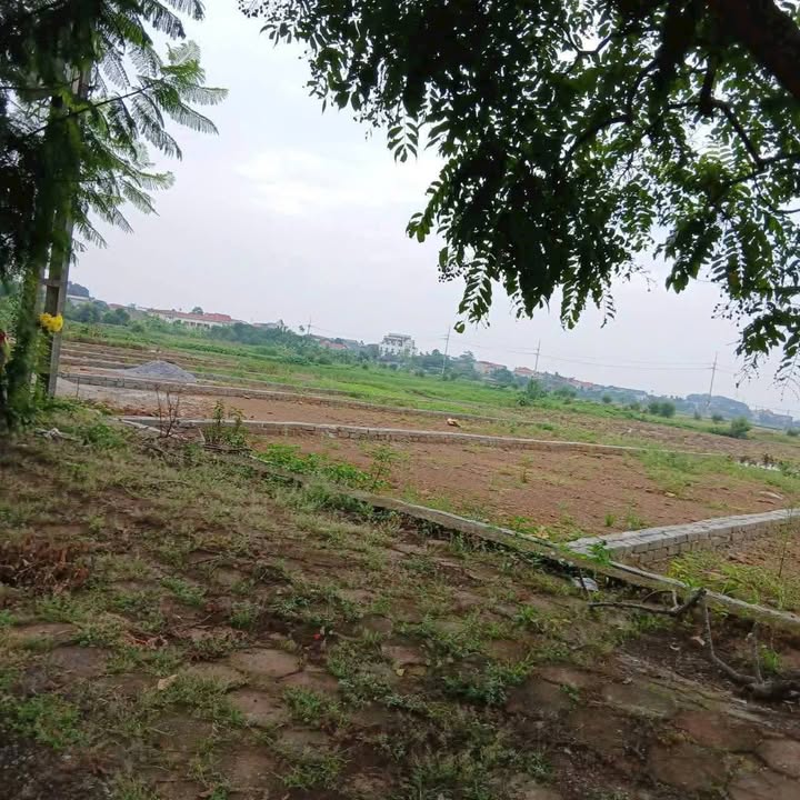 Đất nền Gò Lá, Bột Xuyên 101m² thỏa thuận - Hạ tầng hoàn thiện