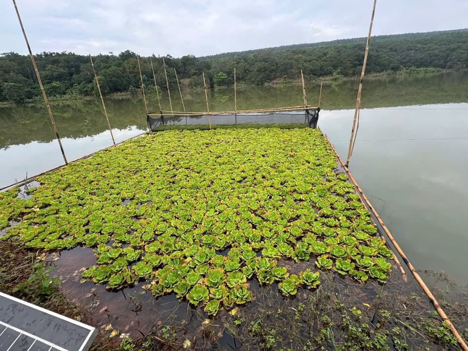 Đất ven hồ Thác Mơ Đức Liễu 2.500m² - Sổ đỏ chính chủ