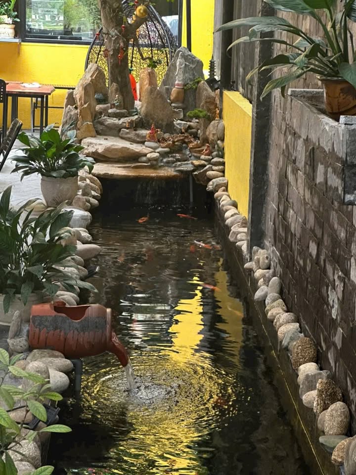 Shop Hòa Xuân Cẩm Lệ 5 triệu/tháng - Mặt tiền kinh doanh