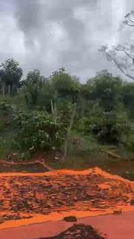 Đất nền QL14 Tuy Đức 1008m² 1.3 tỷ - Đường to ô tô