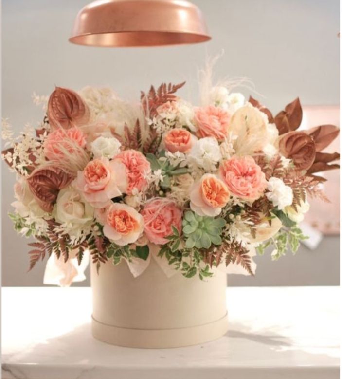 Đất nền Becamex Chơn Thành 500m² 4 triệu - Sổ đỏ chính chủ