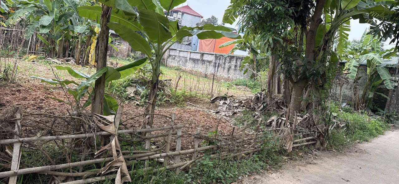 Đất nền Phường Thanh Miếu 109m² 2 tỷ - Sổ đỏ chính chủ