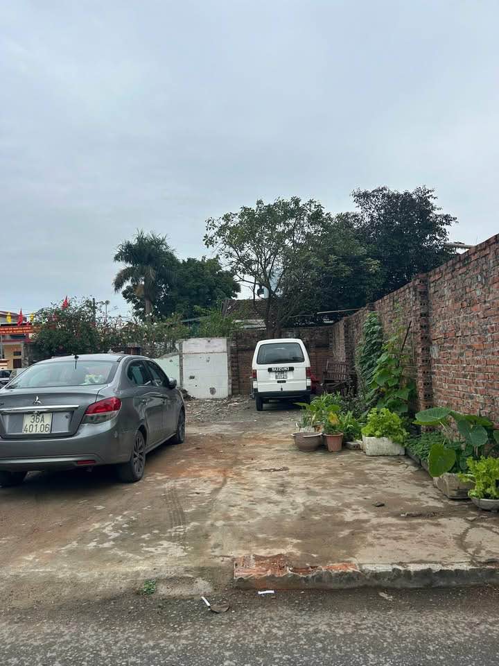 Đất Lê Thần Tông Thanh Hóa 71m² - Sổ đỏ chính chủ